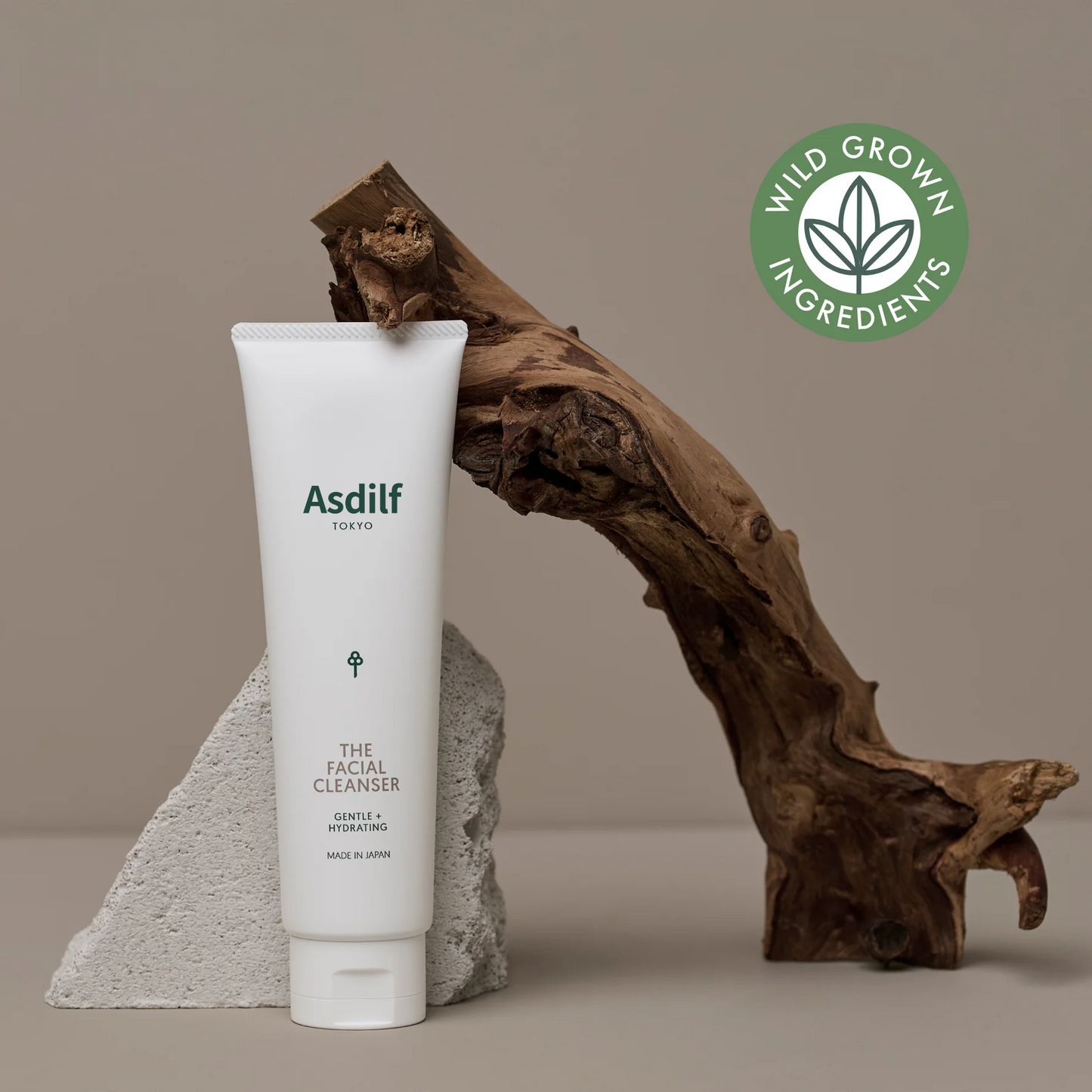 THE FACIAL CLEANSER